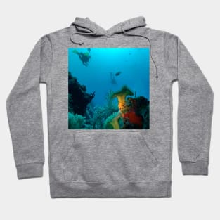 Underwater World Hoodie